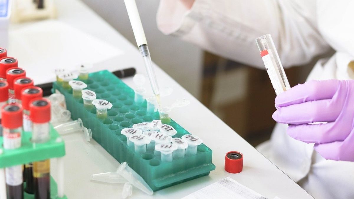 Rinnovabili • Bioplastiche a base vegetale