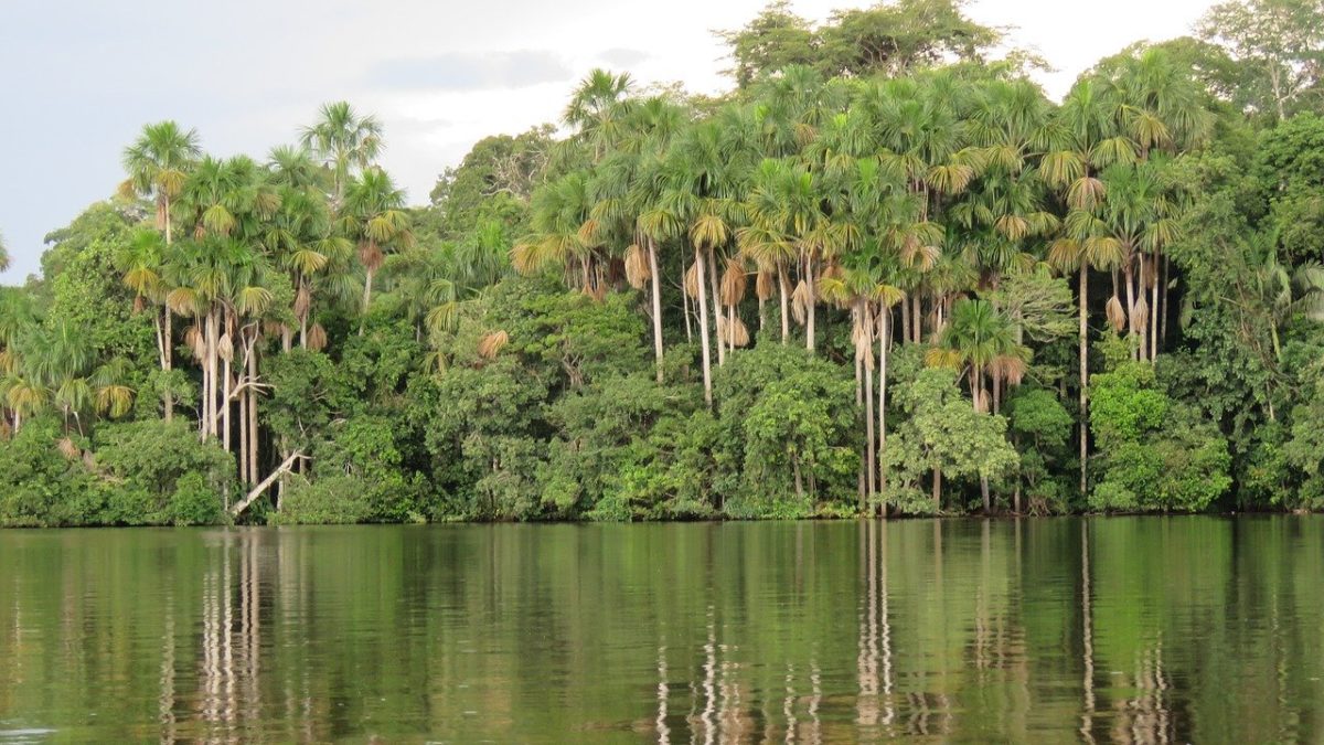 Amazzonia peruviana