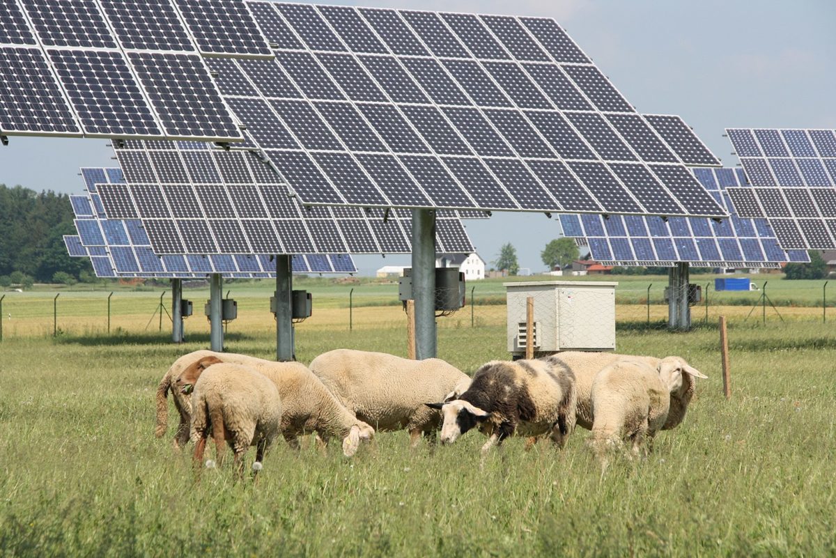 Fotovoltaico e agricoltura