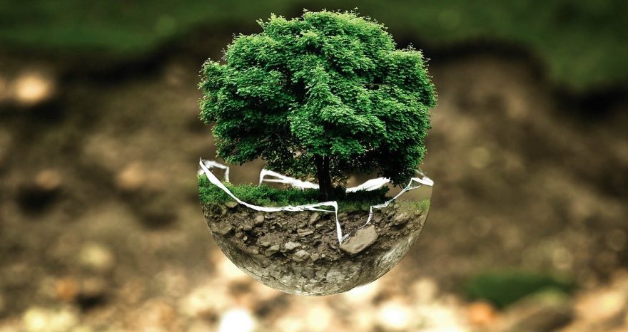 Rinnovabili • Packaging ecosostenibile