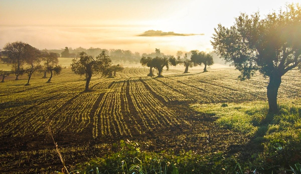 agrifood euromediterraneo