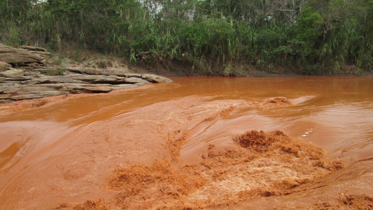 Disastro ambientale in Brasile