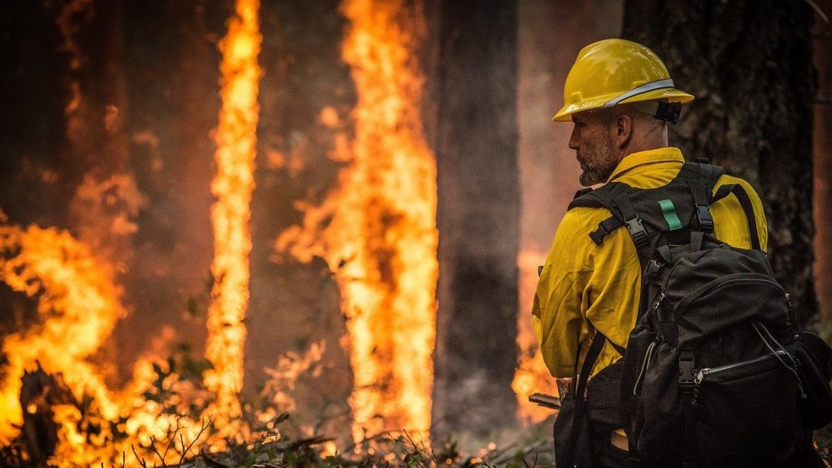 Incendi in California