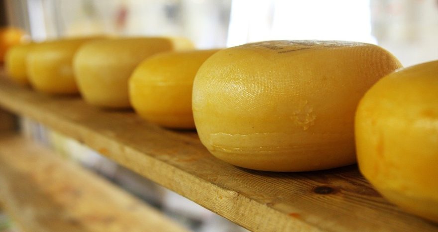 Rinnovabili • CheeseMine