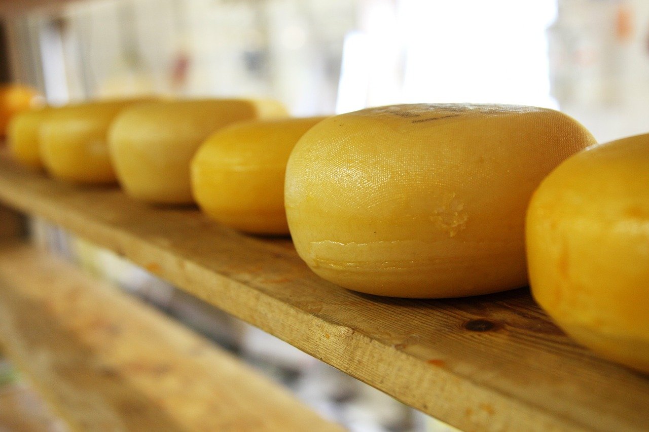 Rinnovabili • CheeseMine