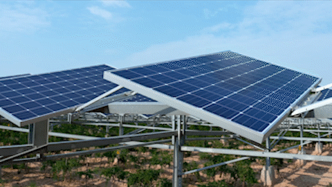agro fotovoltaico