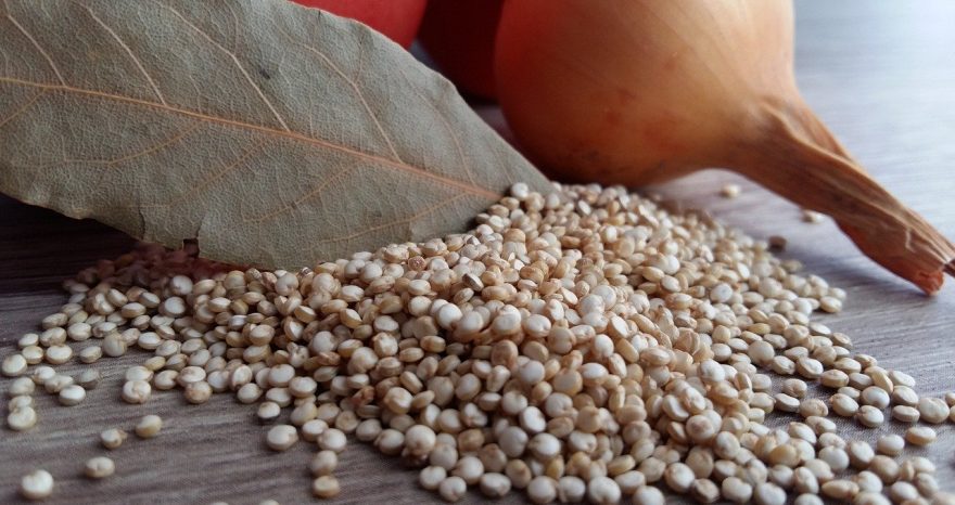 Rinnovabili • quinoa