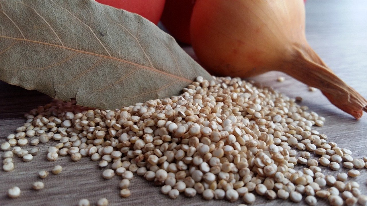 quinoa
