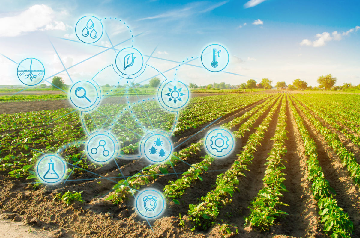 La tecnologia nell’agricoltura di domani, arriva Agridigit