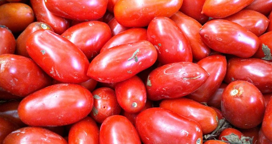Rinnovabili • pomodoro di San Marzano
