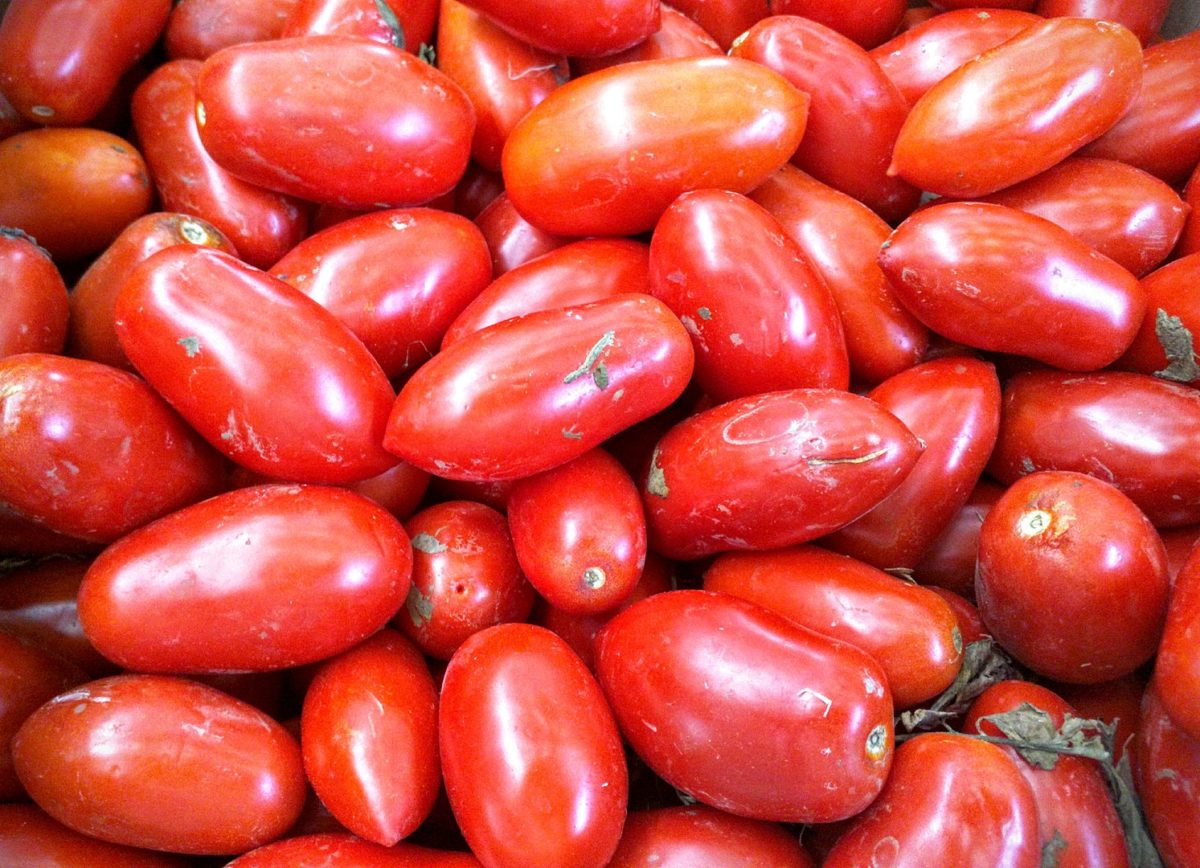 pomodoro di San Marzano