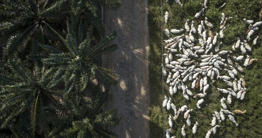 Rinnovabili • WWF Food Week