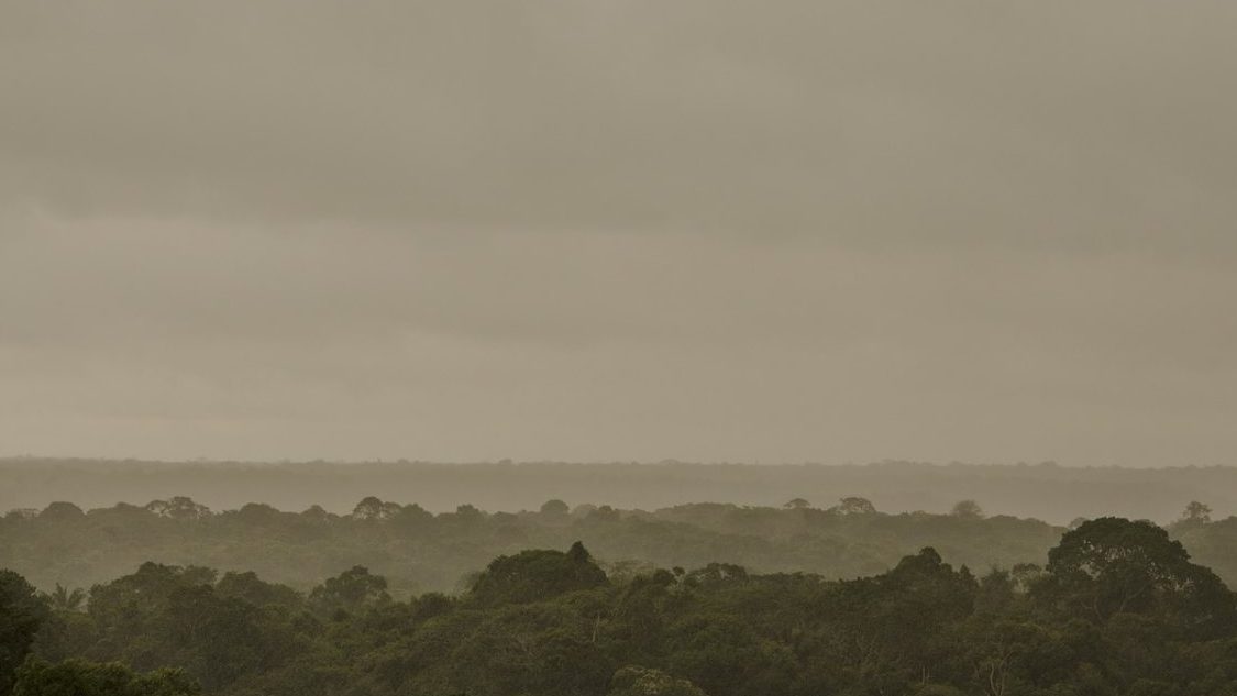 COP25: Bolsonaro usò gli 007 per intimidire gli attivisti