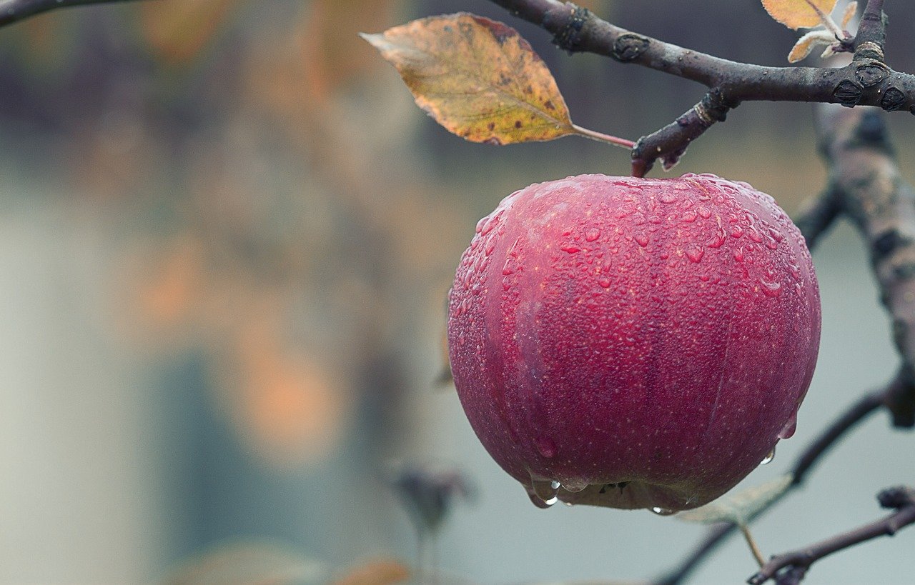 Farm to Fork: le lobby all’assalto della PAC