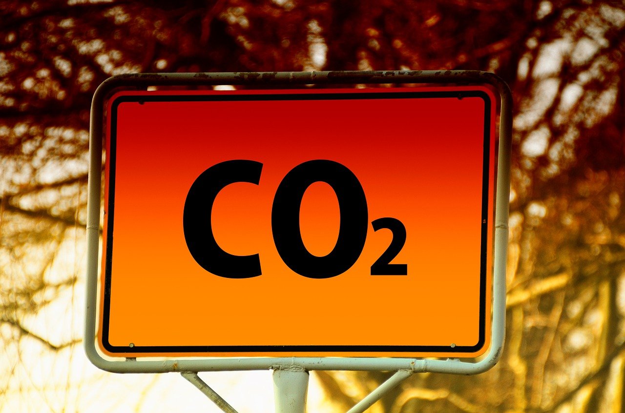 Rimozione della CO2: ecco il primo database mondiale sulle leggi