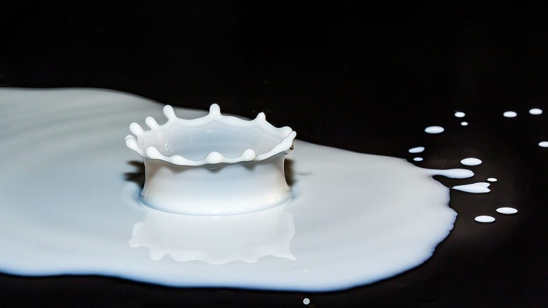 Inquinamento delle acque: metà impianti Lactalis fuori legge da 10 anni