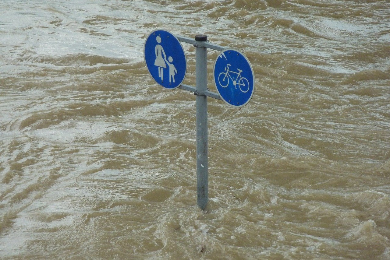 cambiamenti climatici
