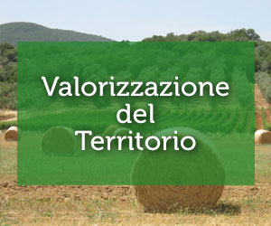 Valorizzazione del Territorio