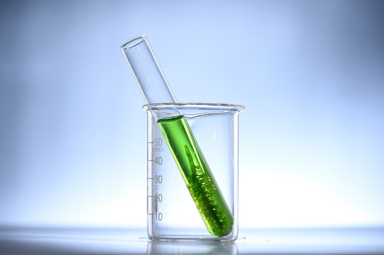 produzione di biocarburanti