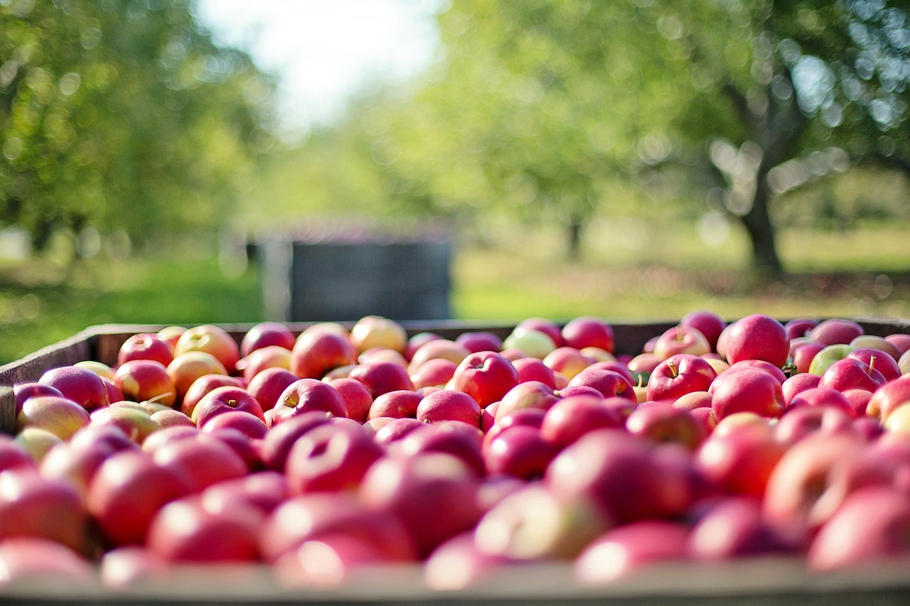 Agroalimentare italiano