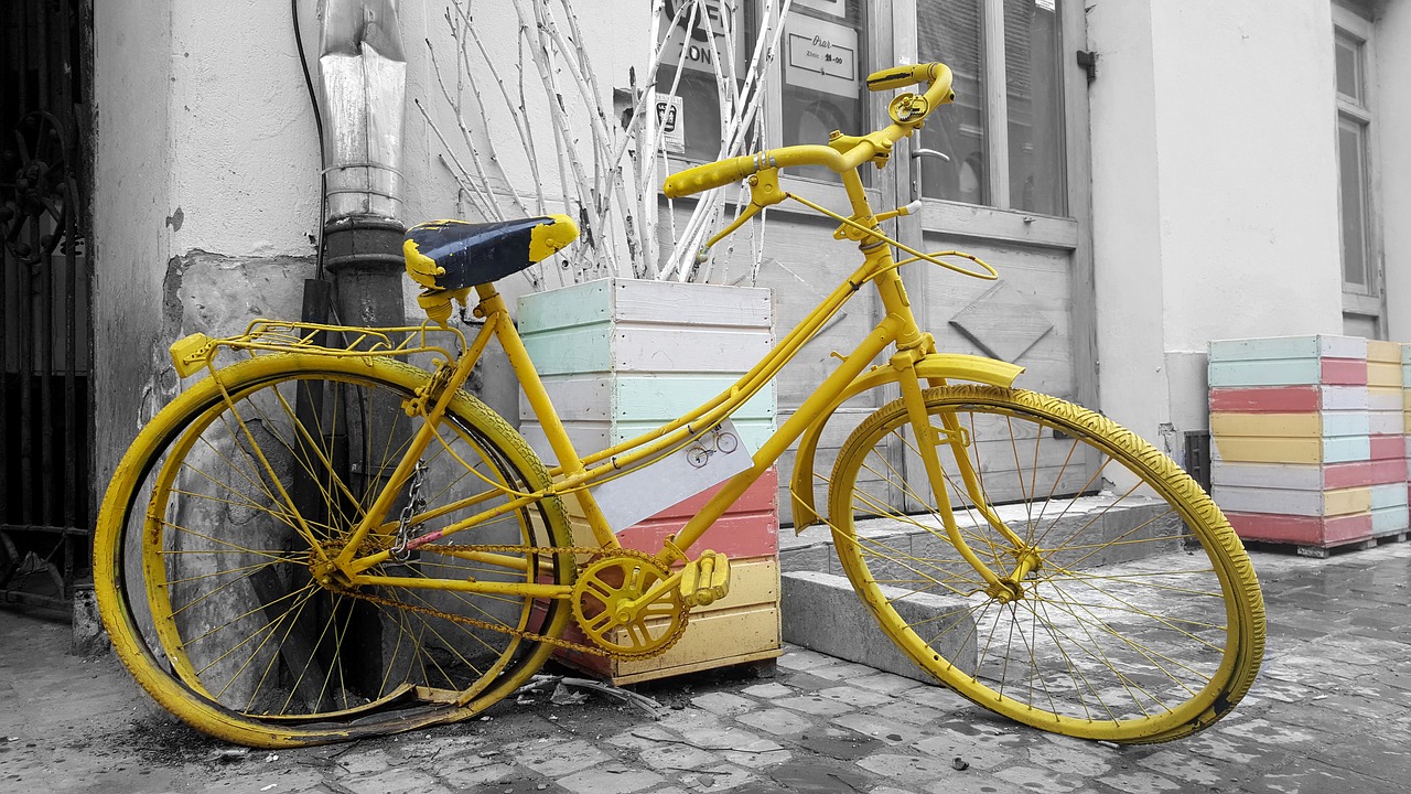 Bonus mobilità
