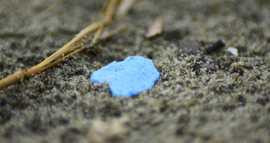 Rinnovabili • microplastiche