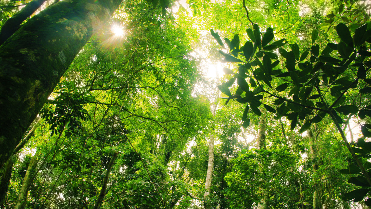Biodiversità