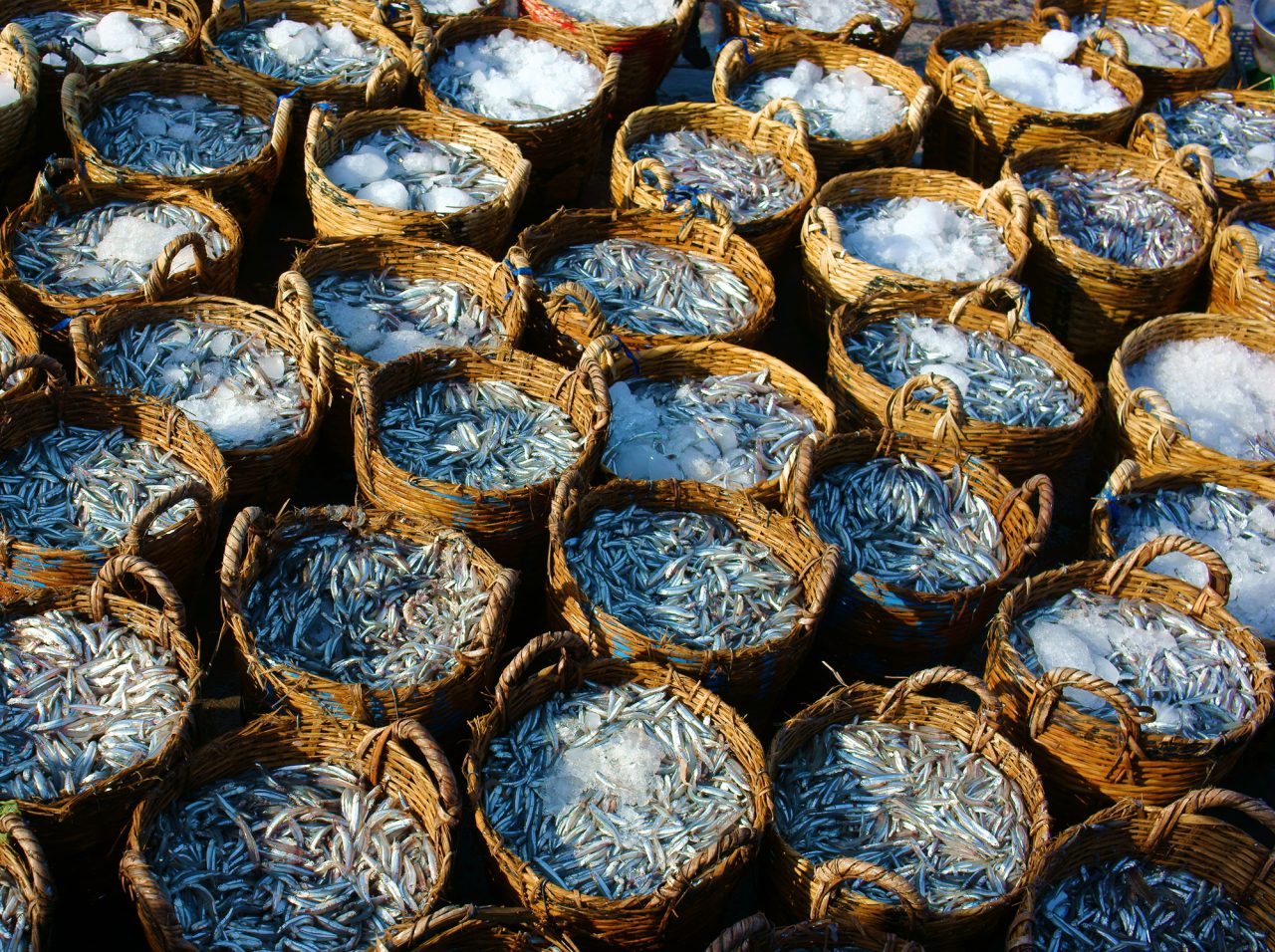 Rinnovabili • Colatura di alici di Cetara