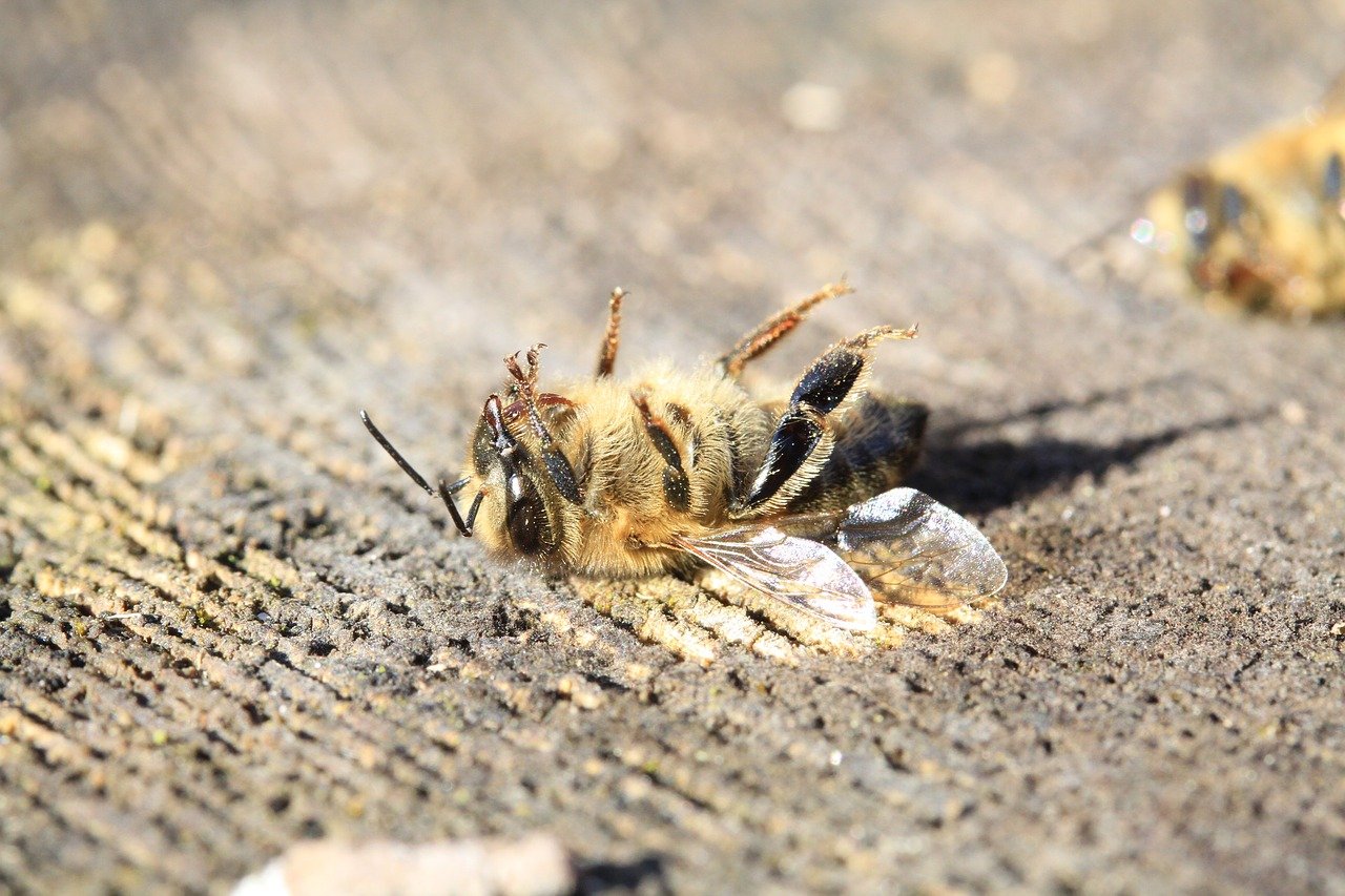 pesticidi