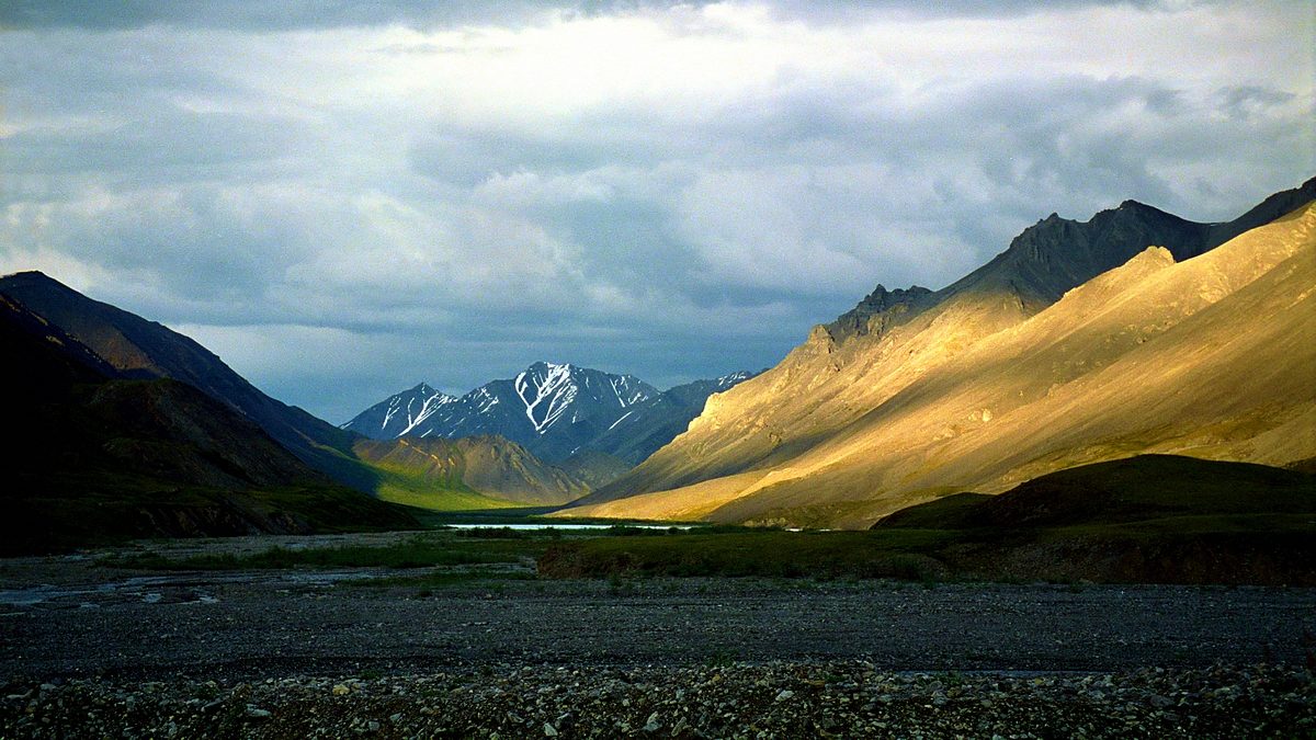 Trivelle in Alaska: va quasi deserta l’asta voluta da Trump