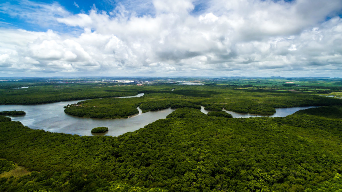 Deforestazione: Bolsonaro taglia i fondi 2021 per la protezione dell’ambiente