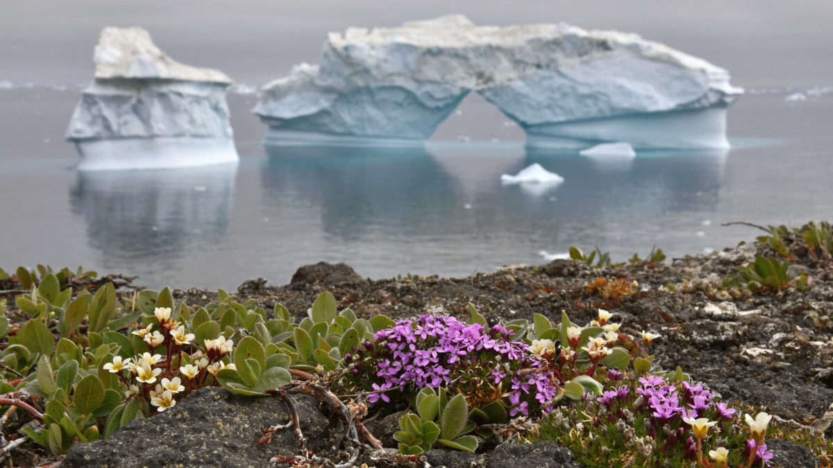 Riscaldamento globale: la ‘diga dell’Artico’ è instabile
