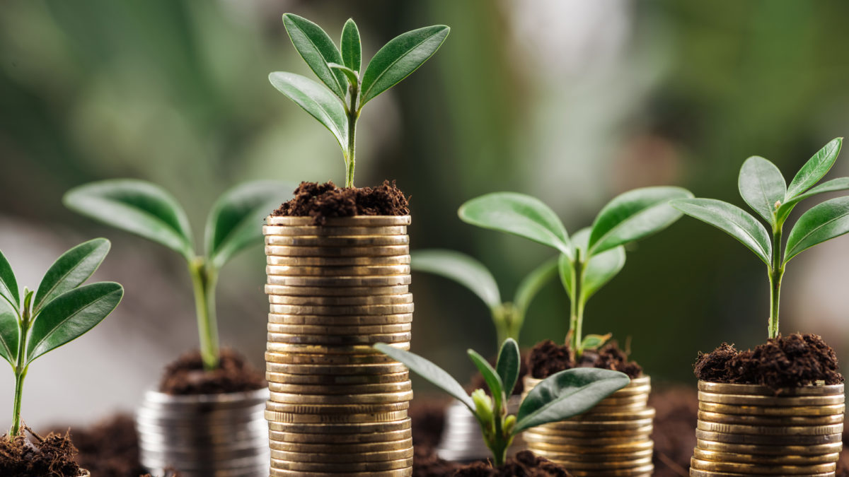 Finanza verde: la BEI dice addio anche al gas