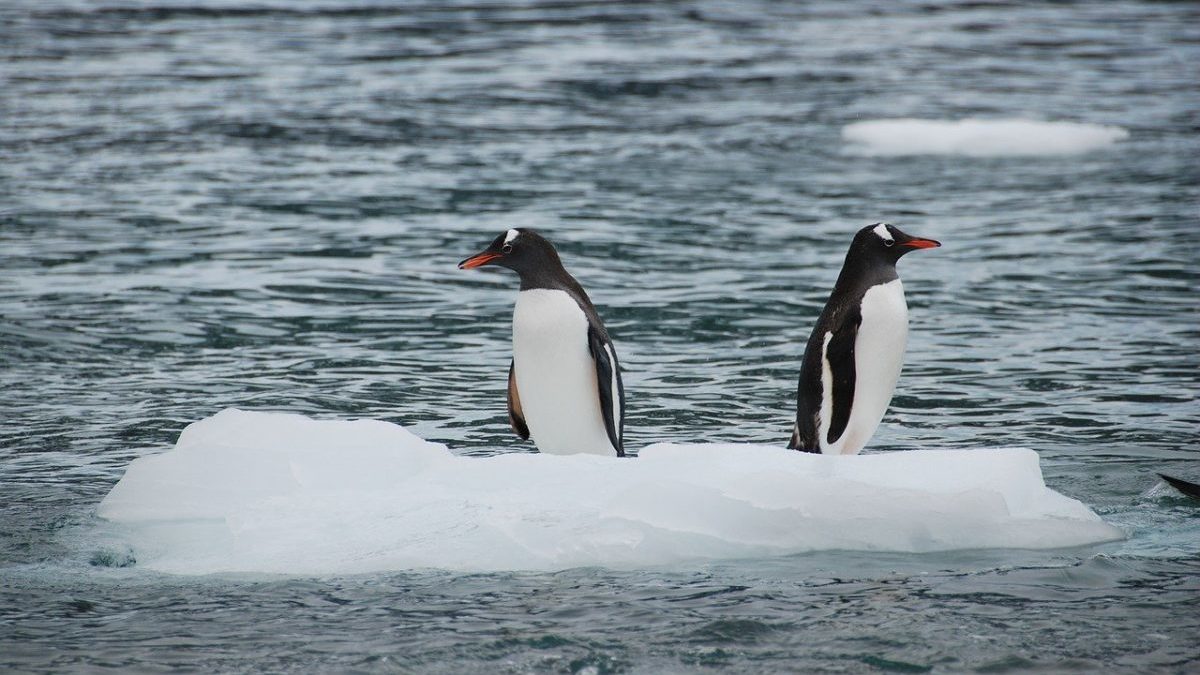 Neutralità climatica: ecco perché bisogna fare in fretta