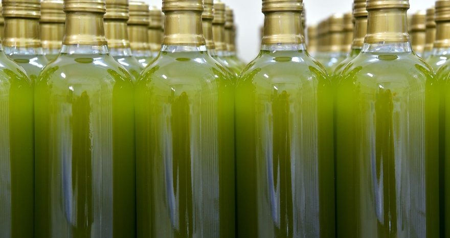Rinnovabili • olio