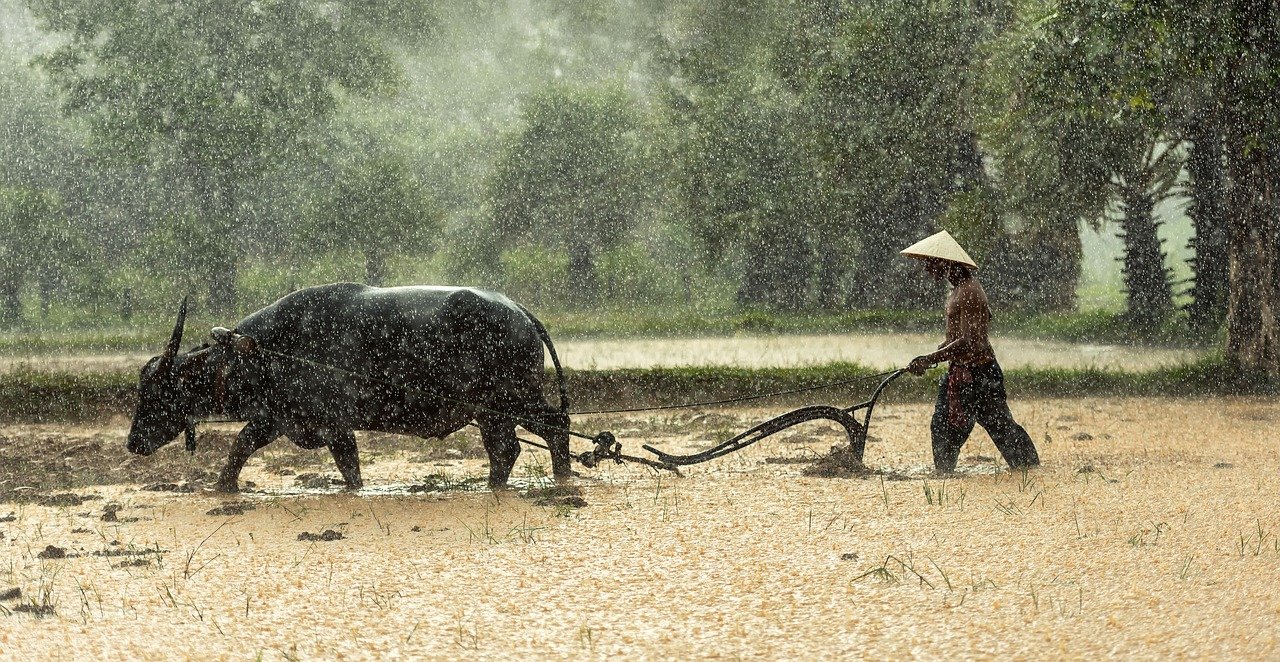 piccoli produttori agricoli