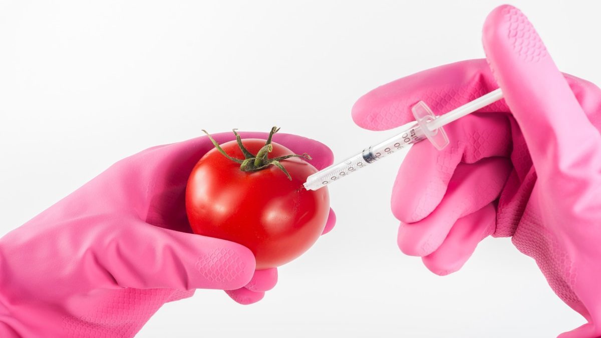 Nuovi OGM: la Gran Bretagna lancia la consultazione pubblica