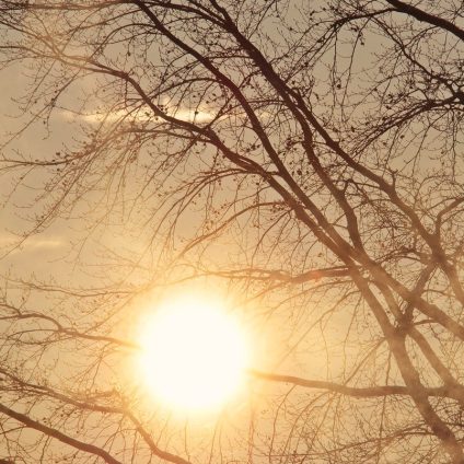 Rinnovabili • sistemi solari ibridi a concentrazione