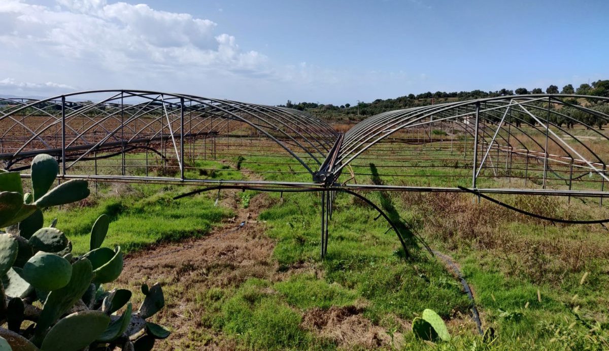 Coltiviamo agricoltura sociale
