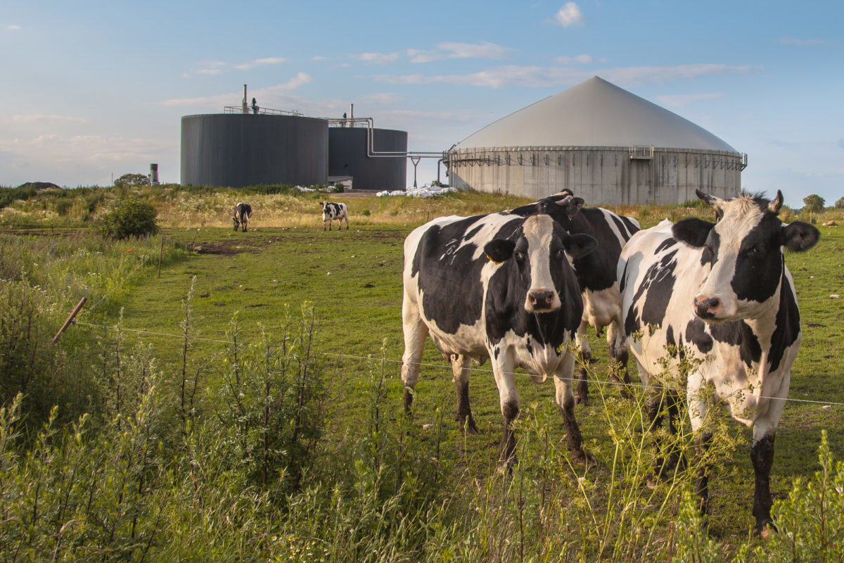 Impianti a biogas agricolo