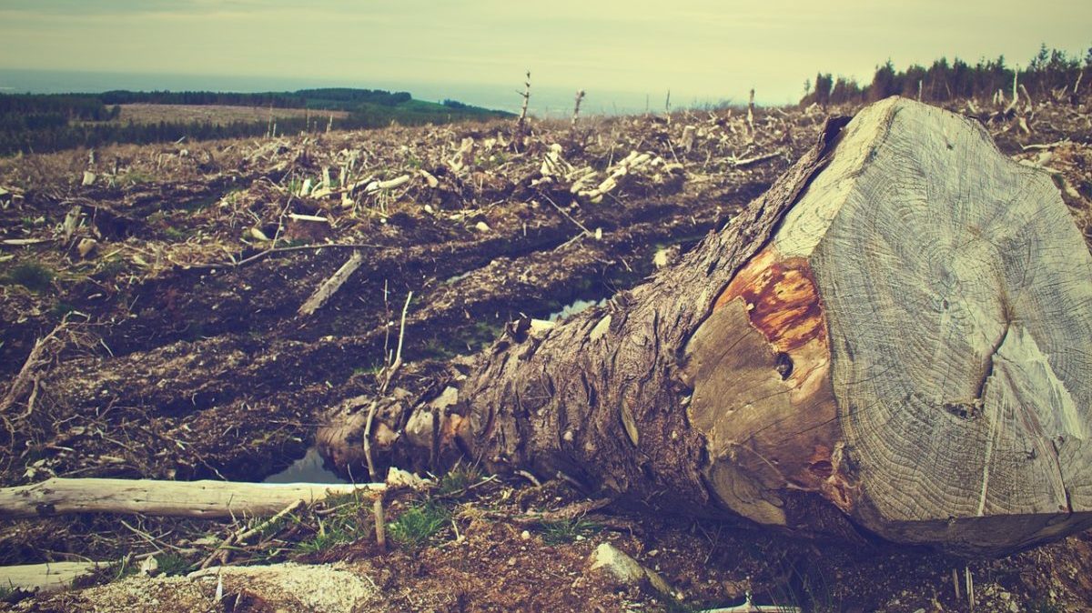 Accordo UE-Mercosur, la Francia non cede su clima e deforestazione