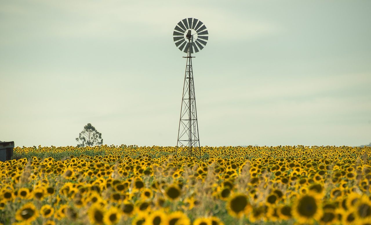 Impatti dei cambiamenti climatici sull'agricoltura
