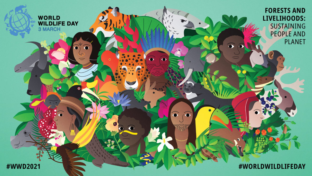 Giornata mondiale della fauna selvatica,