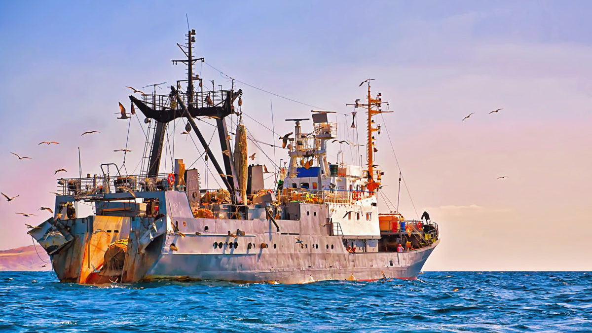 Pesca sostenibile: le grane di Bruxelles con il tonno dell’oceano Indiano