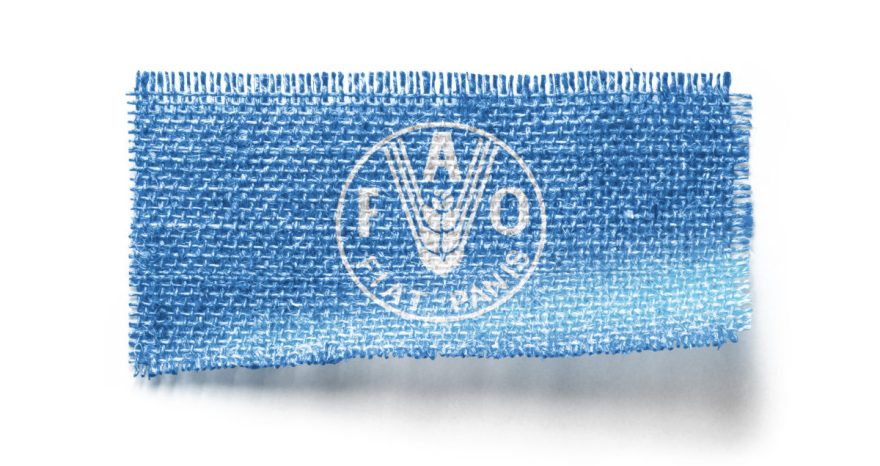 Rinnovabili • fao