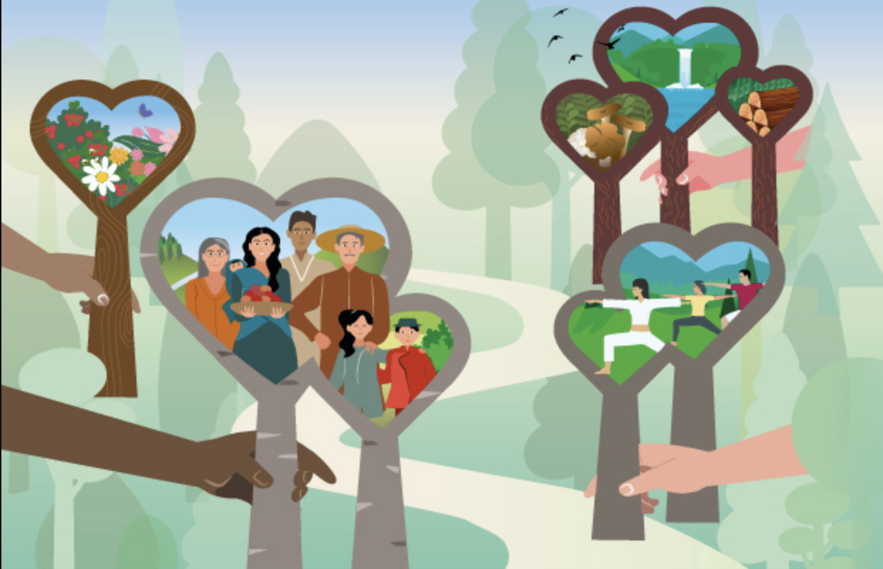 Rinnovabili • giornata internazionale delle foreste