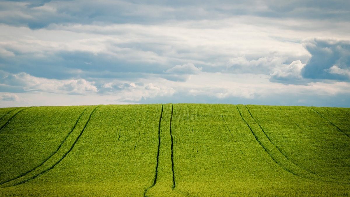 Riforma della PAC: pochi passi verso l’accordo con il super trilogo