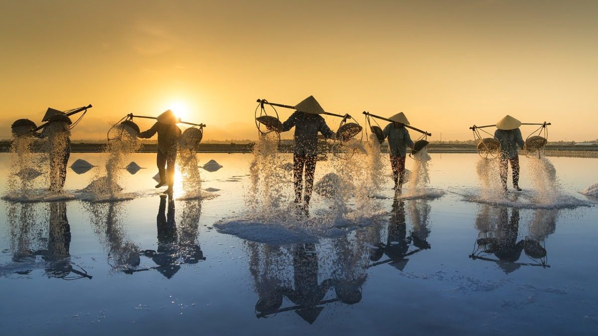 Crisi climatica: i tropici saranno inabitabili se superiamo gli 1,5°C