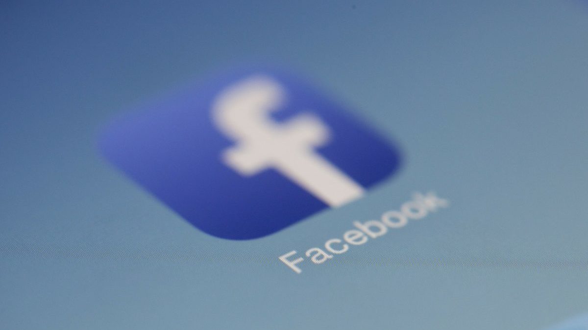 Deforestazione dell’Amazzonia, la foresta in vendita su Facebook