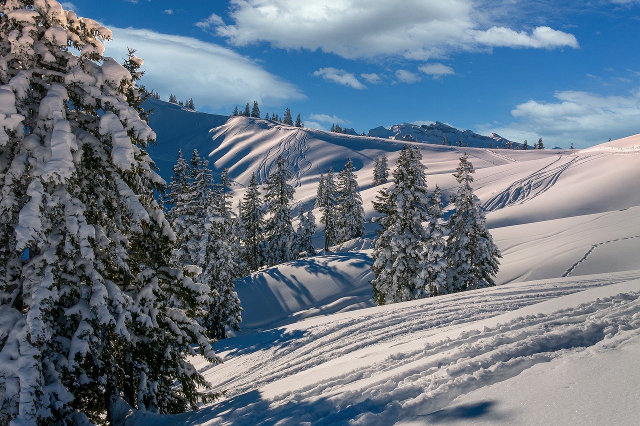 cambiamenti climatici neve